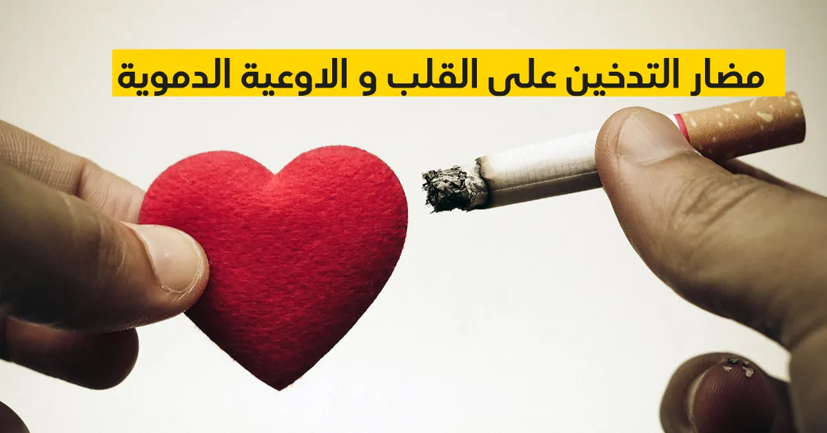 مضار التدخين على القلب و الاوعية الدموية